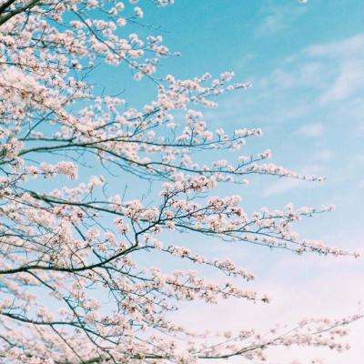 江南体育下载手机版