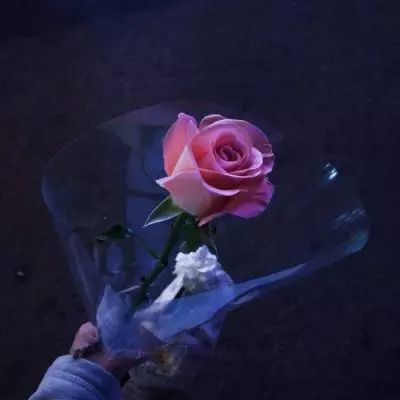 江南体育下载手机版截图